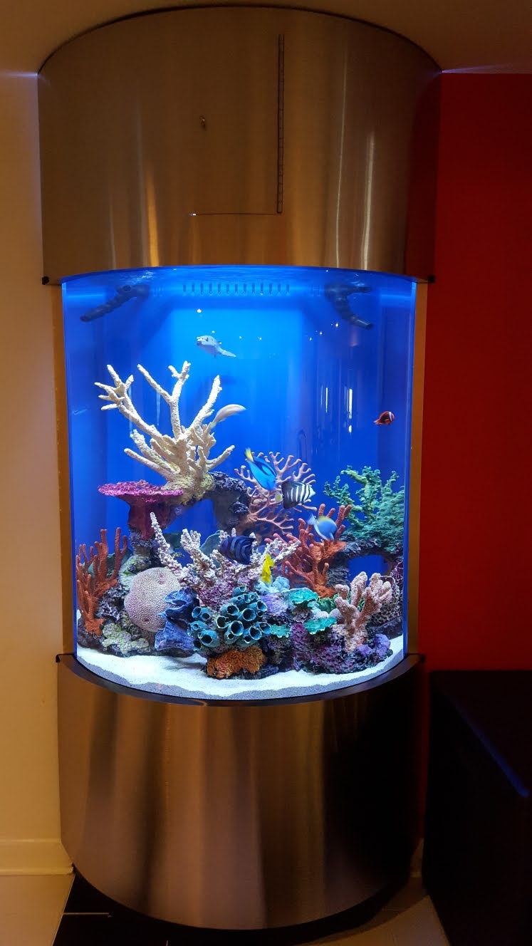 Aquarium Maintenance Service Chicago Sealife Services