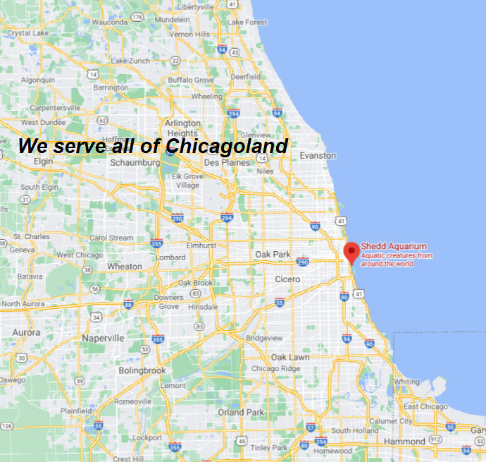 Aquarium Maintenance Service Chicago Sealife Services
