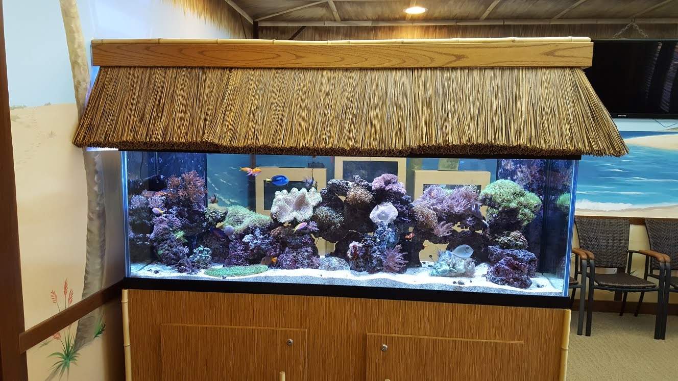 tropical fish store chicago